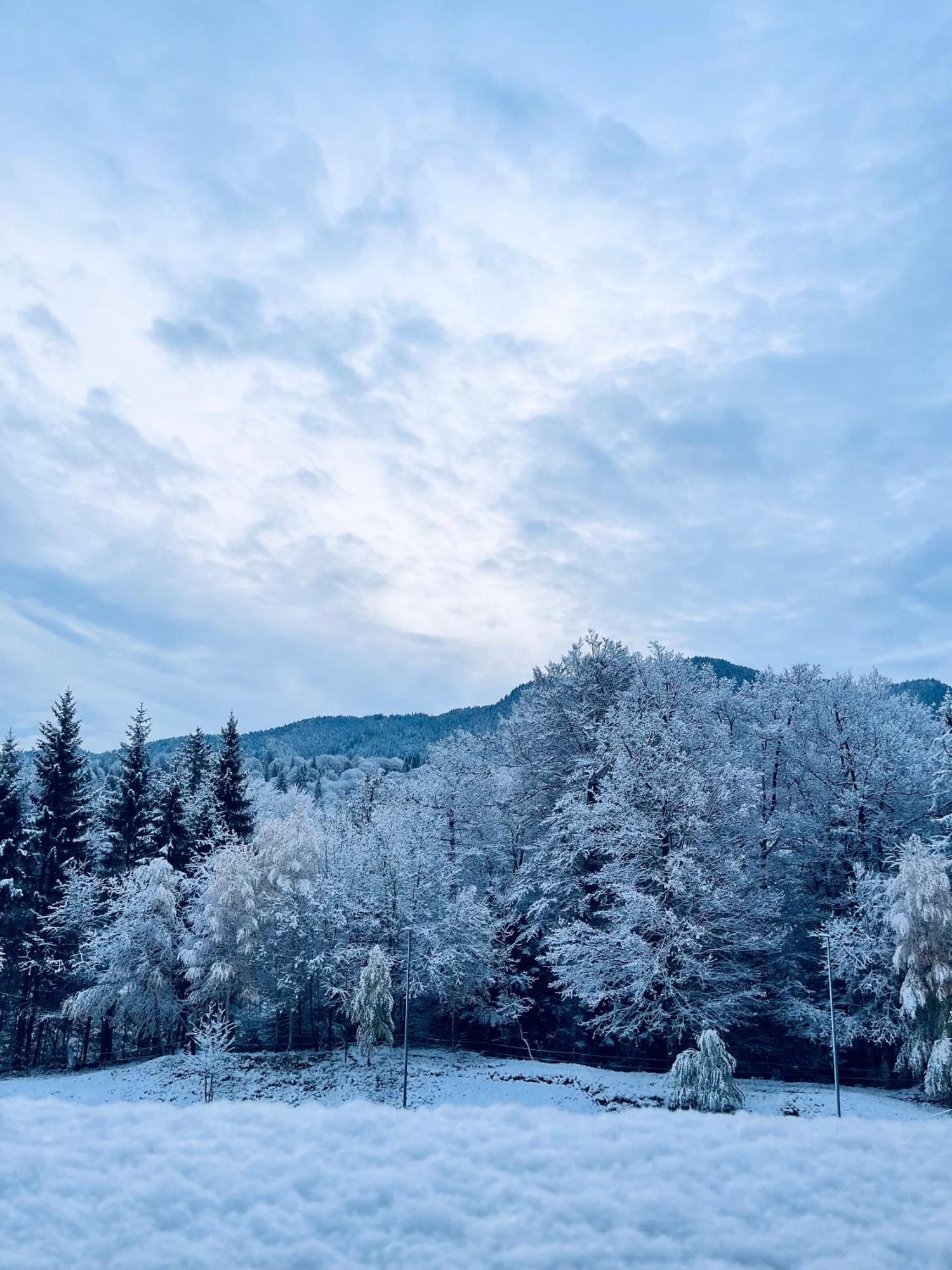 Mountain Nest In Silver Mountain ポイアナ・ブラショフ エクステリア 写真