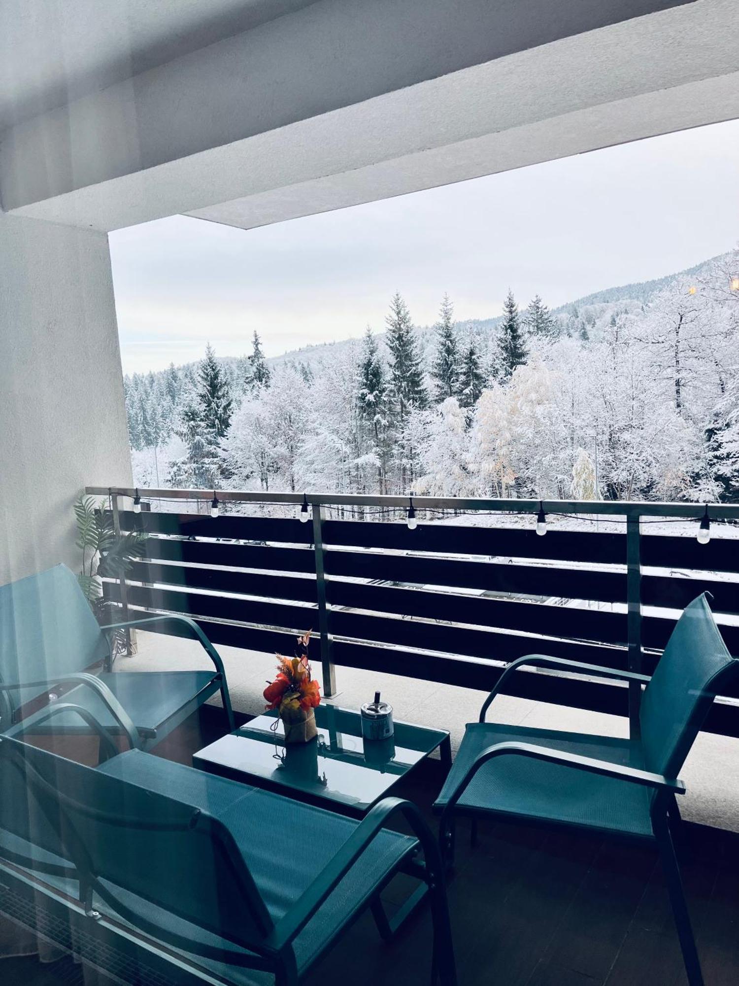 Mountain Nest In Silver Mountain ポイアナ・ブラショフ エクステリア 写真